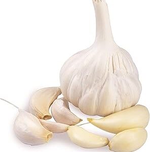 Fresh Garlic (lehsun) 100g Pac